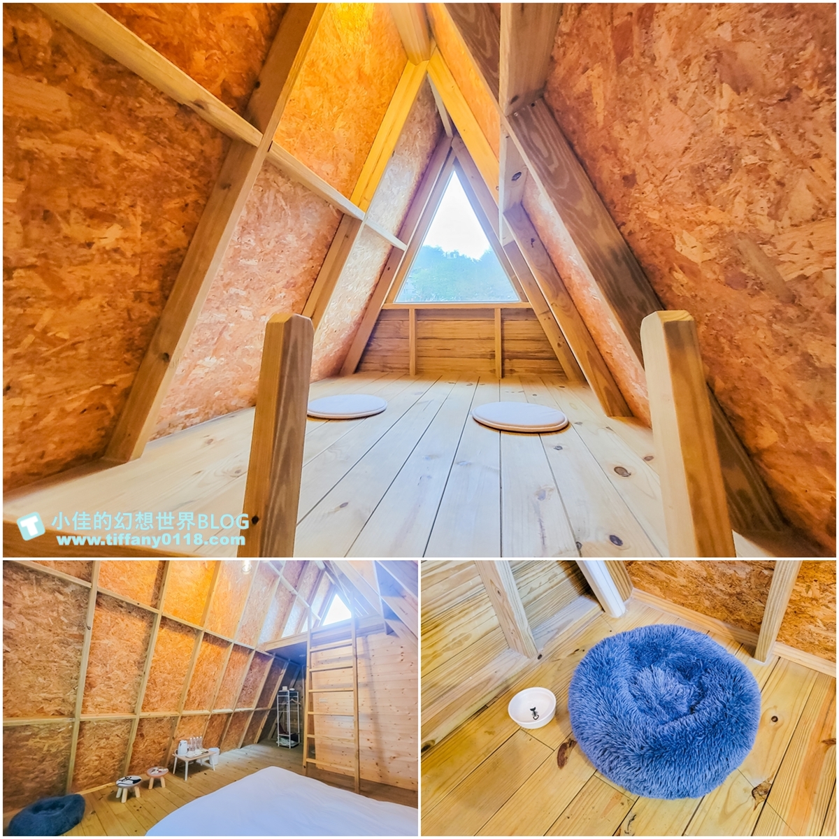 [台中景點]HiONE啵比星球/亞洲最大恐龍主題+寵物親子友善空間/豪華露營一泊三食/台中親子景點推薦