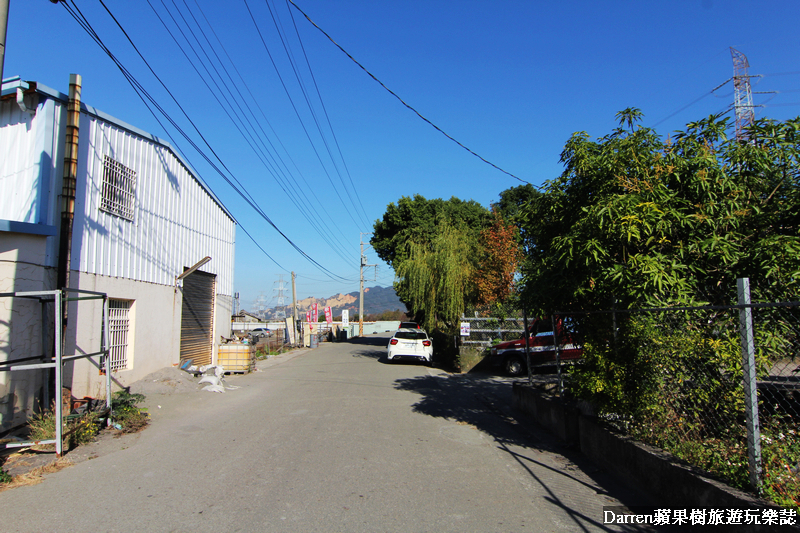 台中景點,台中拍照景點,落羽松景點,台中旅遊景點,泰安落羽松,台中落羽松,泰安落羽松秘境,台中秘境