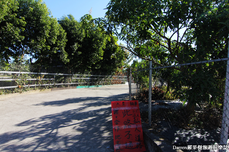 台中景點,台中拍照景點,落羽松景點,台中旅遊景點,泰安落羽松,台中落羽松,泰安落羽松秘境,台中秘境