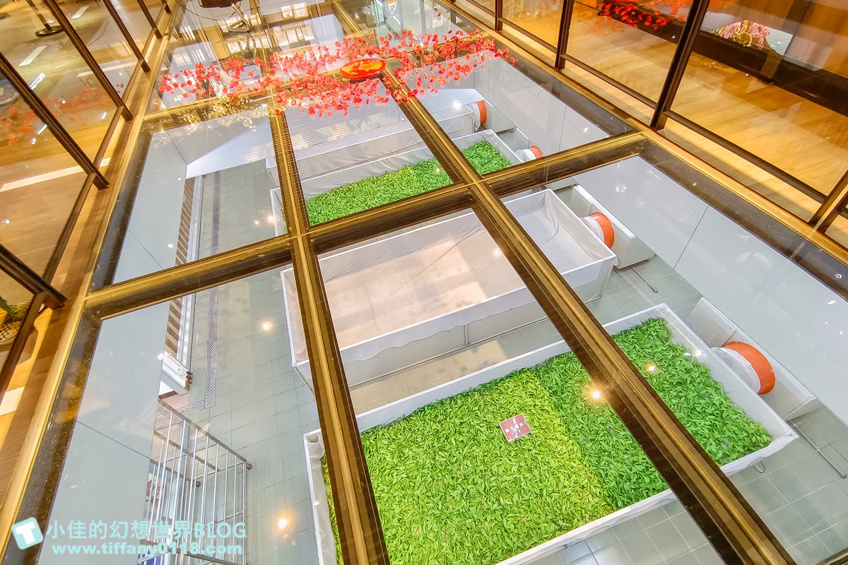 [南投景點]HOHOCHA喝喝茶，台灣香日月潭紅茶廠/門票60元可以喝紅茶吃茶葉蛋/南投景點推薦