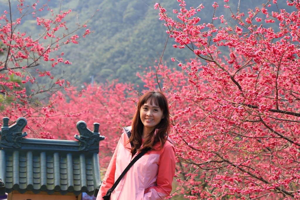 /tmp/phpSv96No /tmp/phpSv96No