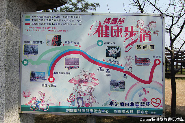 苗栗景點,苗栗旅遊,銅鑼炮仗花步道,銅鑼環保公園,炮仗花牆,苗栗炮仗花