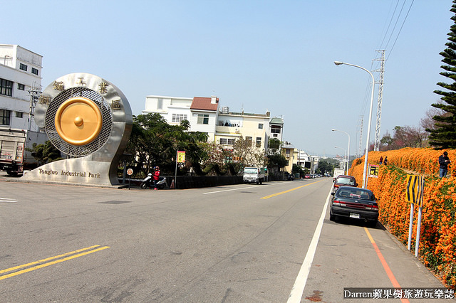 苗栗景點,苗栗旅遊,銅鑼炮仗花步道,銅鑼環保公園,炮仗花牆,苗栗炮仗花