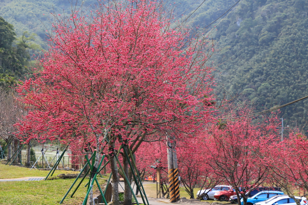 /tmp/phpjiYmdL /tmp/phpjiYmdL