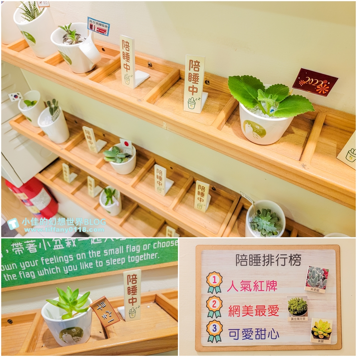 [台中住宿]葉綠宿旅館/偽出國住宿帶你環遊世界六大國/逢甲夜市走路3分鐘/逢甲夜市住宿推薦