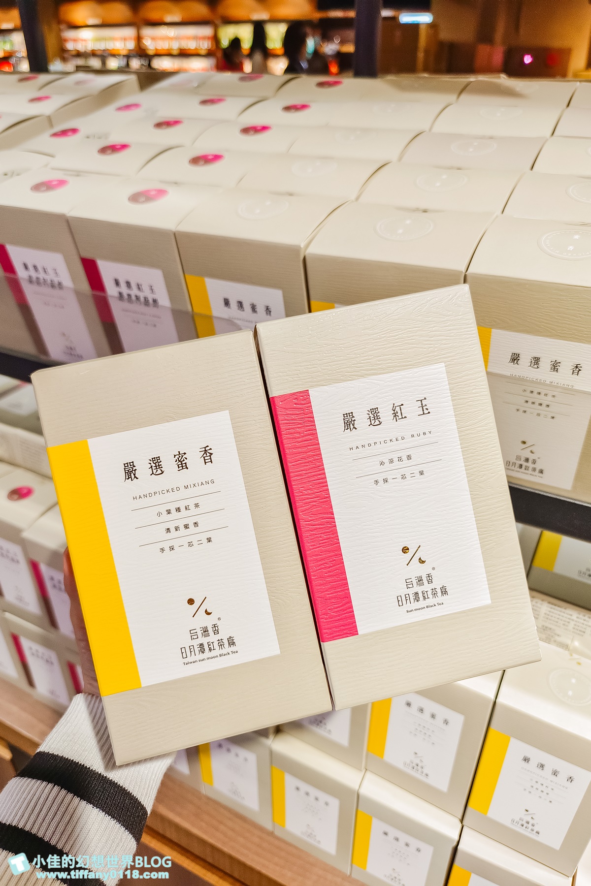 [南投景點]HOHOCHA喝喝茶，台灣香日月潭紅茶廠/門票60元可以喝紅茶吃茶葉蛋/南投景點推薦