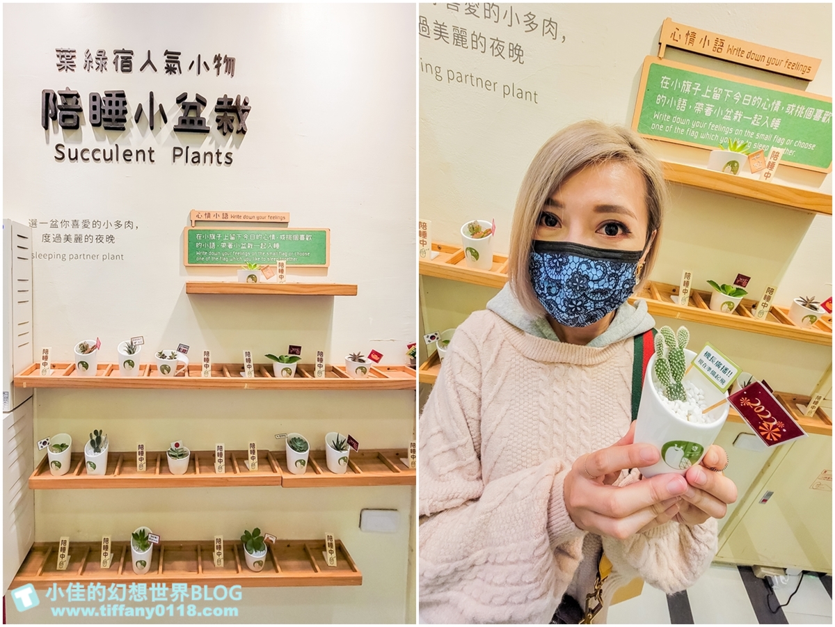 [台中住宿]葉綠宿旅館/偽出國住宿帶你環遊世界六大國/逢甲夜市走路3分鐘/逢甲夜市住宿推薦