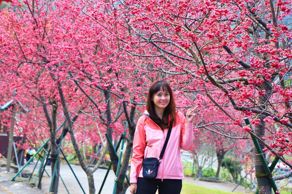 /tmp/phpMYoK5r /tmp/phpMYoK5r