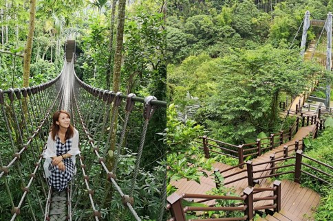 雲林古坑華山小天梯情人橋1 【雲林古坑】華山園區小天梯&情人橋~超好拍照的打卡秘境!綠意環繞俯瞰溪谷美景,還有森林裡的刺激鋼索吊橋