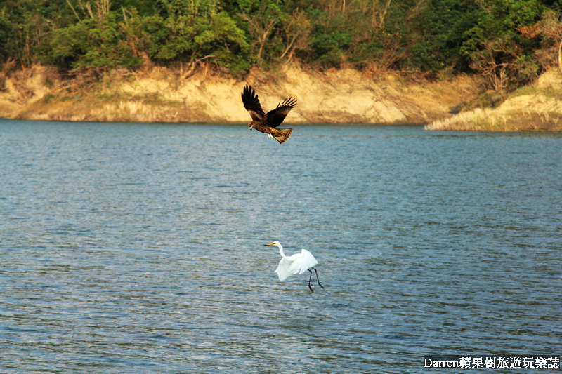 嘉義景點,曾文水庫,曾文水庫釣魚,曾文水庫山豬島,曾文水庫遊艇,曾文水庫遊湖