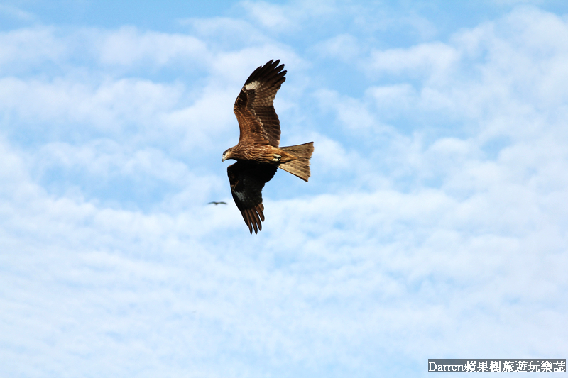 嘉義景點,曾文水庫,曾文水庫釣魚,曾文水庫山豬島,曾文水庫遊艇,曾文水庫遊湖 嘉義景點,曾文水庫,曾文水庫釣魚,曾文水庫山豬島,曾文水庫遊艇,曾文水庫遊湖