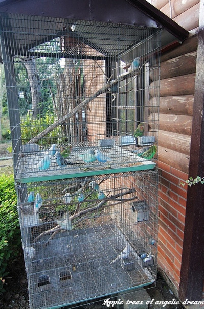 苗栗|日新島水榭樓台漫遊明德水庫湖中島(門票 附近景點)