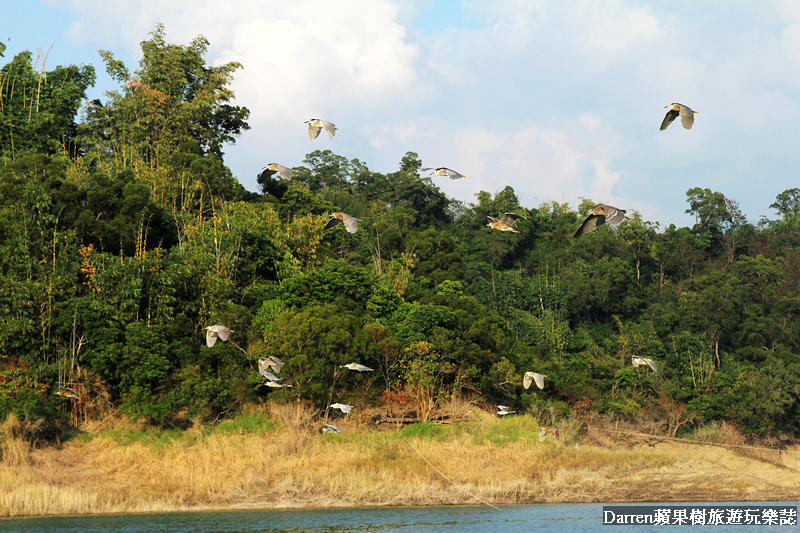 嘉義景點/曾文水庫山豬島探險/搭遊艇探訪秘境/水庫釣魚欣賞老鷹叼食秀/360度環景觀景樓飽覽水庫美景