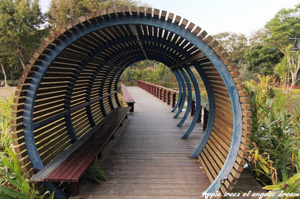 苗栗|日新島水榭樓台漫遊明德水庫湖中島(門票 附近景點)