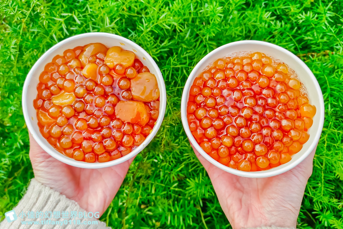 [迪化街美食]鴉片粉圓路力迪化店/文青風格鴉片粉圓/招牌三圓冰必點/大稻埕美食推薦