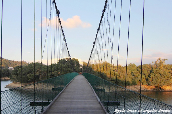 苗栗|日新島水榭樓台漫遊明德水庫湖中島(門票 附近景點)