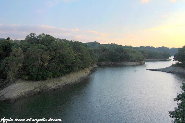 苗栗|日新島水榭樓台漫遊明德水庫湖中島(門票 附近景點)