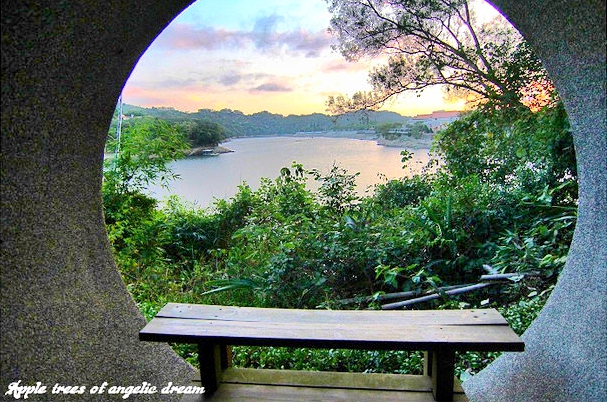 苗栗景點|日新島水榭樓台漫遊明德水庫湖中島(門票 附近景點)