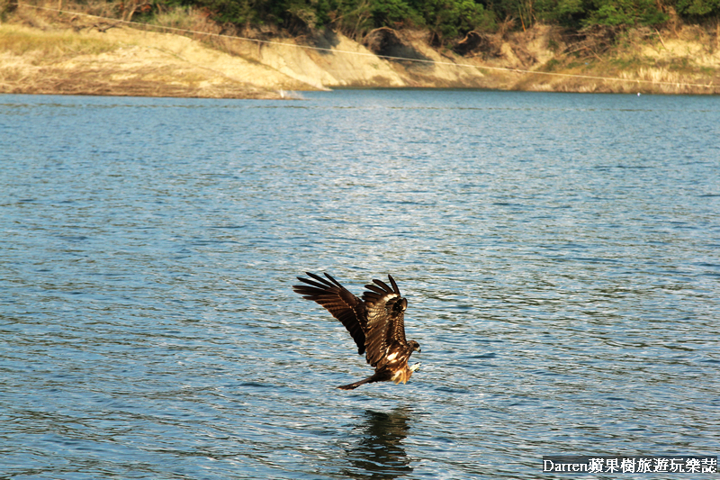嘉義景點,曾文水庫,曾文水庫釣魚,曾文水庫山豬島,曾文水庫遊艇,曾文水庫遊湖