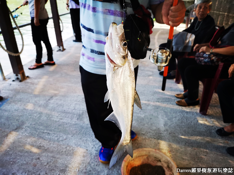 嘉義景點,曾文水庫,曾文水庫釣魚,曾文水庫山豬島,曾文水庫遊艇,曾文水庫遊湖
