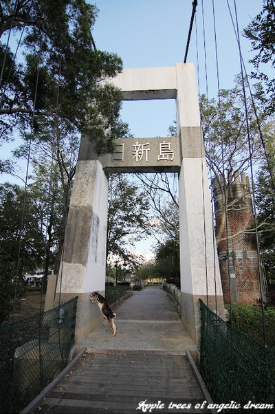 苗栗|日新島水榭樓台漫遊明德水庫湖中島(門票 附近景點)