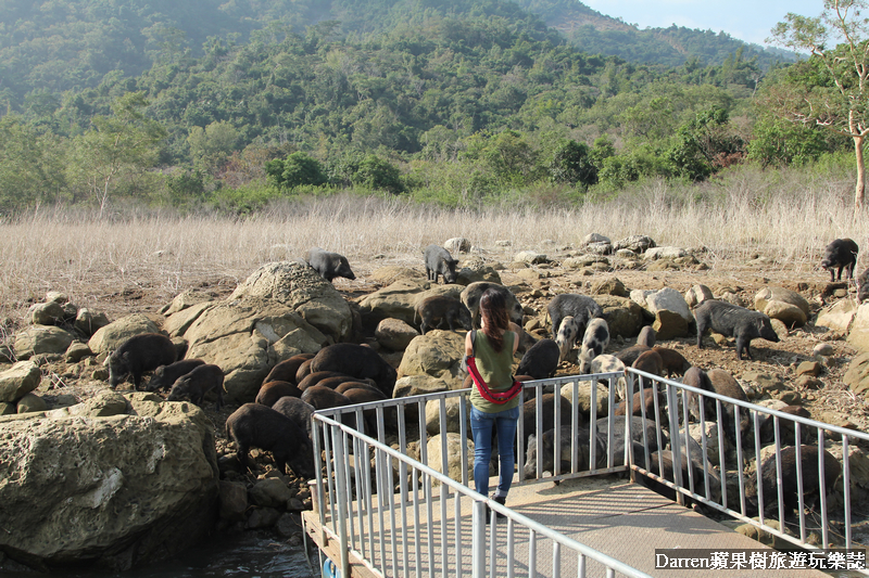 嘉義景點,曾文水庫,曾文水庫釣魚,曾文水庫山豬島,曾文水庫遊艇,曾文水庫遊湖 嘉義景點,曾文水庫,曾文水庫釣魚,曾文水庫山豬島,曾文水庫遊艇,曾文水庫遊湖