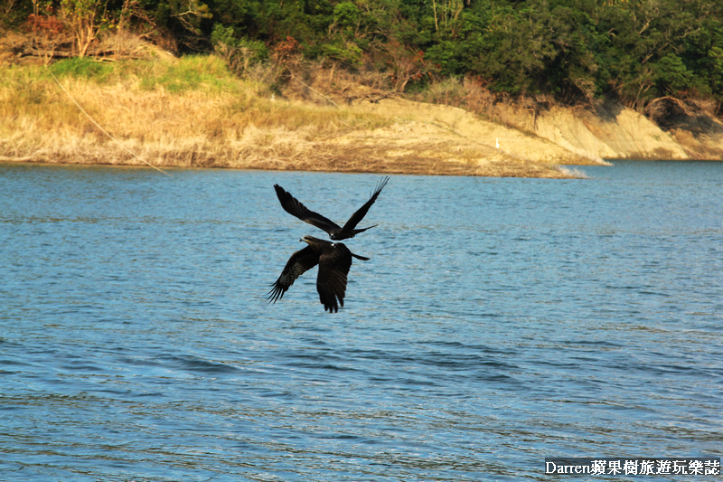嘉義景點,曾文水庫,曾文水庫釣魚,曾文水庫山豬島,曾文水庫遊艇,曾文水庫遊湖 嘉義景點,曾文水庫,曾文水庫釣魚,曾文水庫山豬島,曾文水庫遊艇,曾文水庫遊湖