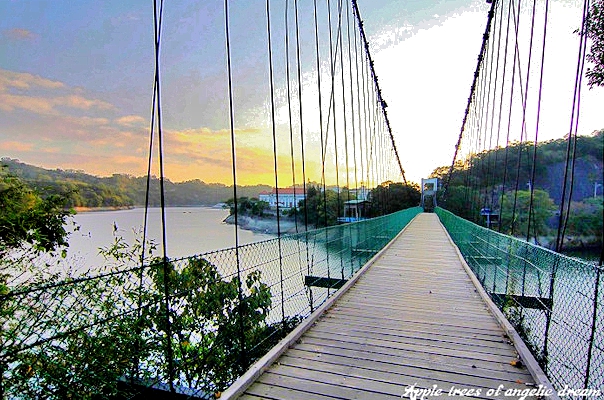 苗栗景點|日新島水榭樓台漫遊明德水庫湖中島(門票 附近景點)
