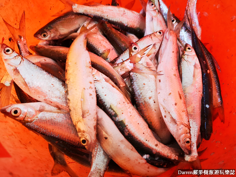 嘉義景點,曾文水庫,曾文水庫釣魚,曾文水庫山豬島,曾文水庫遊艇,曾文水庫遊湖 嘉義景點,曾文水庫,曾文水庫釣魚,曾文水庫山豬島,曾文水庫遊艇,曾文水庫遊湖