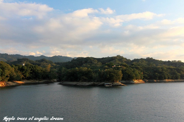 苗栗|日新島水榭樓台漫遊明德水庫湖中島(門票 附近景點)