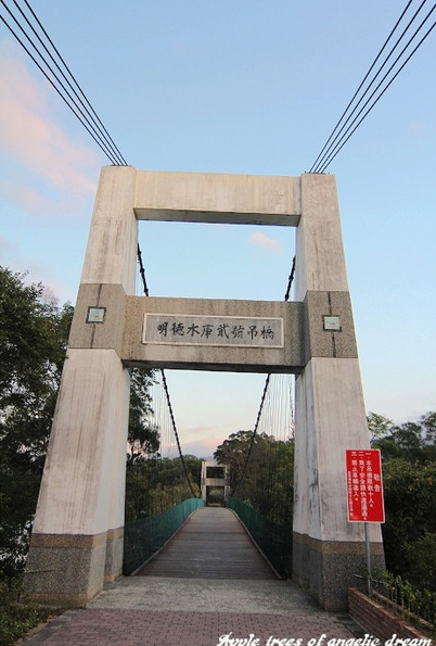 苗栗|日新島水榭樓台漫遊明德水庫湖中島(門票 附近景點)
