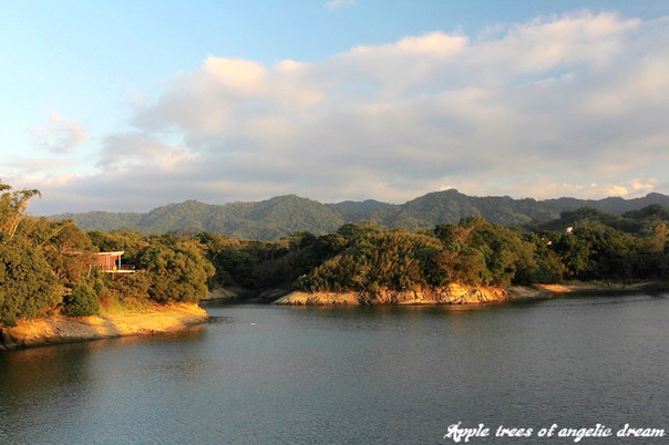 苗栗|日新島水榭樓台漫遊明德水庫湖中島(門票 附近景點)