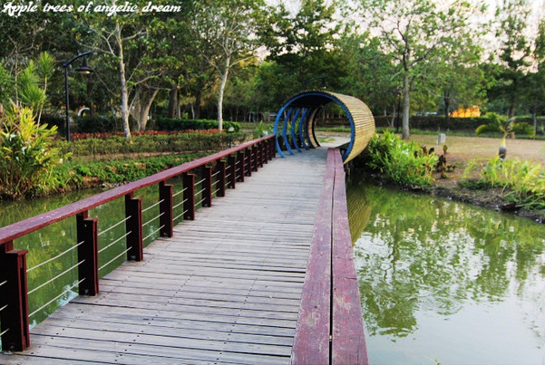 苗栗|日新島水榭樓台漫遊明德水庫湖中島(門票 附近景點)