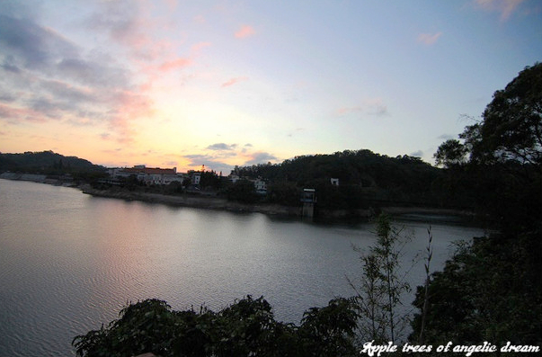 苗栗|日新島水榭樓台漫遊明德水庫湖中島(門票 附近景點)