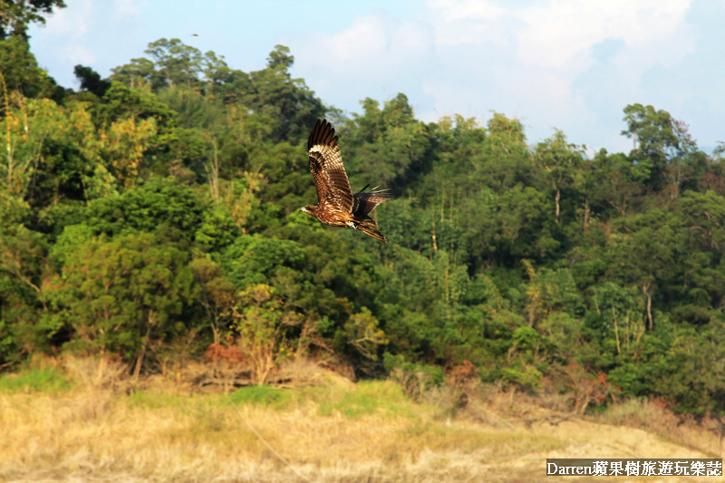 嘉義景點,曾文水庫,曾文水庫釣魚,曾文水庫山豬島,曾文水庫遊艇,曾文水庫遊湖 嘉義景點,曾文水庫,曾文水庫釣魚,曾文水庫山豬島,曾文水庫遊艇,曾文水庫遊湖