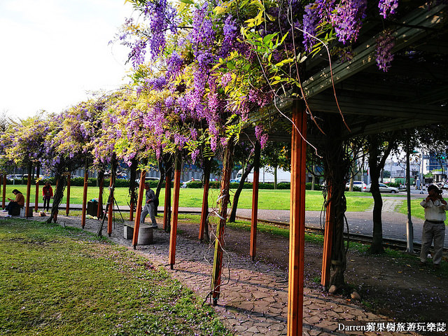 桃園景點,桃園中壢景點,中壢景點,元生公園,元生公園紫藤花