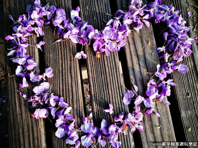 桃園景點,桃園中壢景點,中壢景點,元生公園,元生公園紫藤花