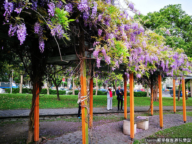 桃園景點,桃園中壢景點,中壢景點,元生公園,元生公園紫藤花