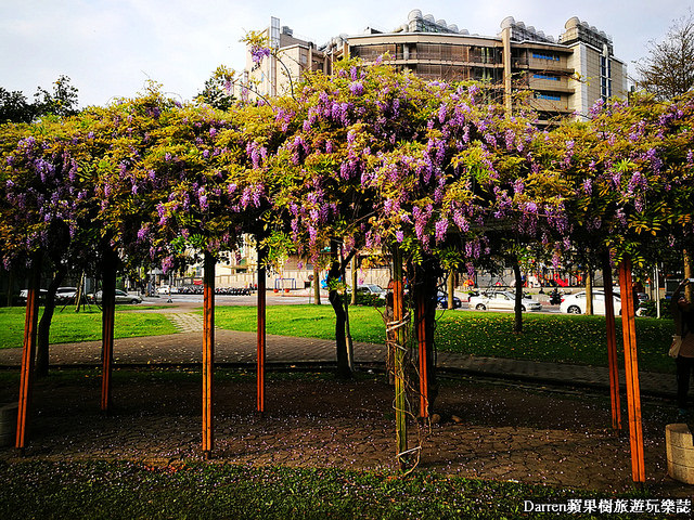 桃園景點,桃園中壢景點,中壢景點,元生公園,元生公園紫藤花