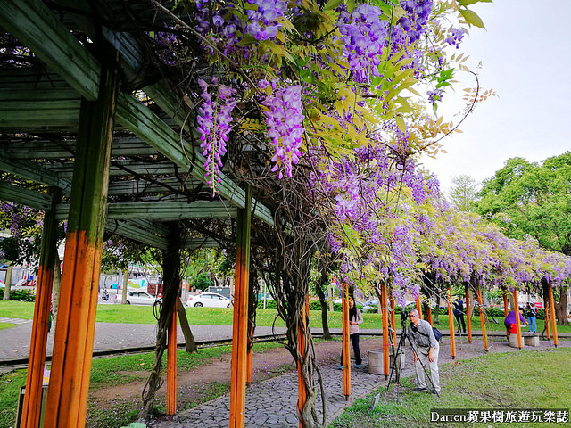 桃園景點,桃園中壢景點,中壢景點,元生公園,元生公園紫藤花