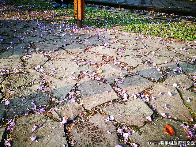 桃園景點,桃園中壢景點,中壢景點,元生公園,元生公園紫藤花