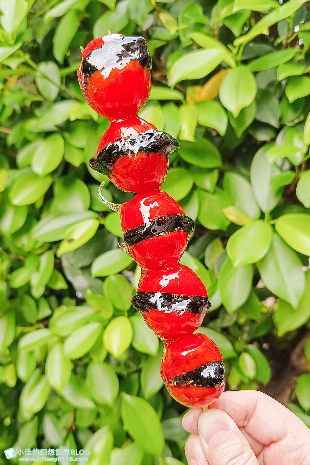 [板橋美食]鳥來伯糖葫蘆/20元糖葫蘆一賣超過20年/草莓糖葫蘆只要30元太便宜/板橋小吃推薦