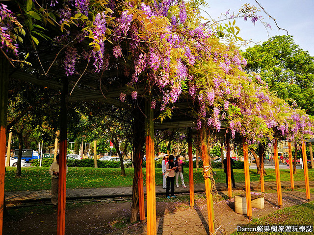桃園景點,桃園中壢景點,中壢景點,元生公園,元生公園紫藤花