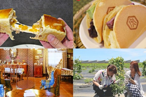 雲林虎尾周邊TOP6秘店｜把歐洲搬到台灣的咖啡廳、地瓜糕點界的LV、創意柳橙醬油、復古時尚牽絲麻糬、自採自煮農場火鍋、米做的珠寶盒蛋糕