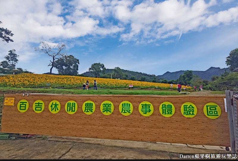 桃園大溪金針花海|百吉休閒農場/不用跑花東桃園就有10萬株金針花海(地點交通開放時間)