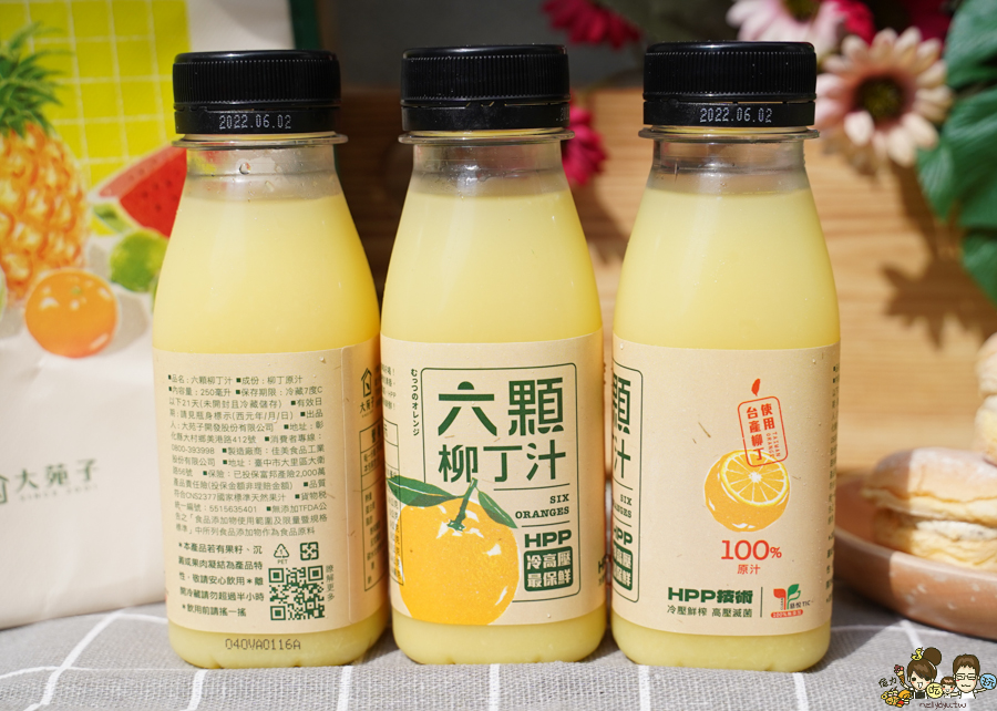 大苑子 果汁 獨創 獨家 首創 首支 六顆柳丁汁 果汁 新鮮果汁 必喝