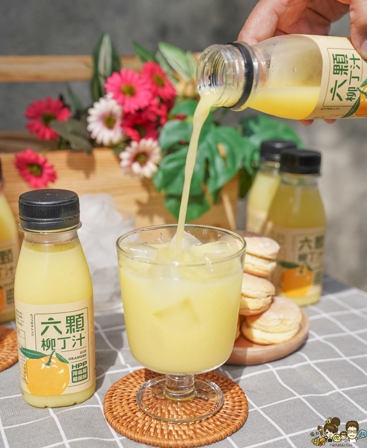 大苑子 果汁 獨創 獨家 首創 首支 六顆柳丁汁 果汁 新鮮果汁 必喝