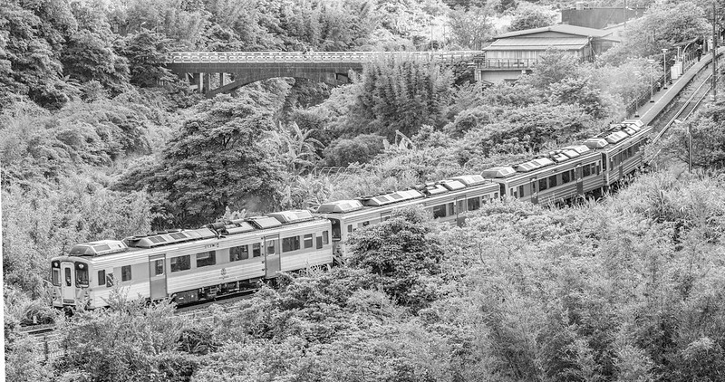 20220507-20220507-TIGL0783