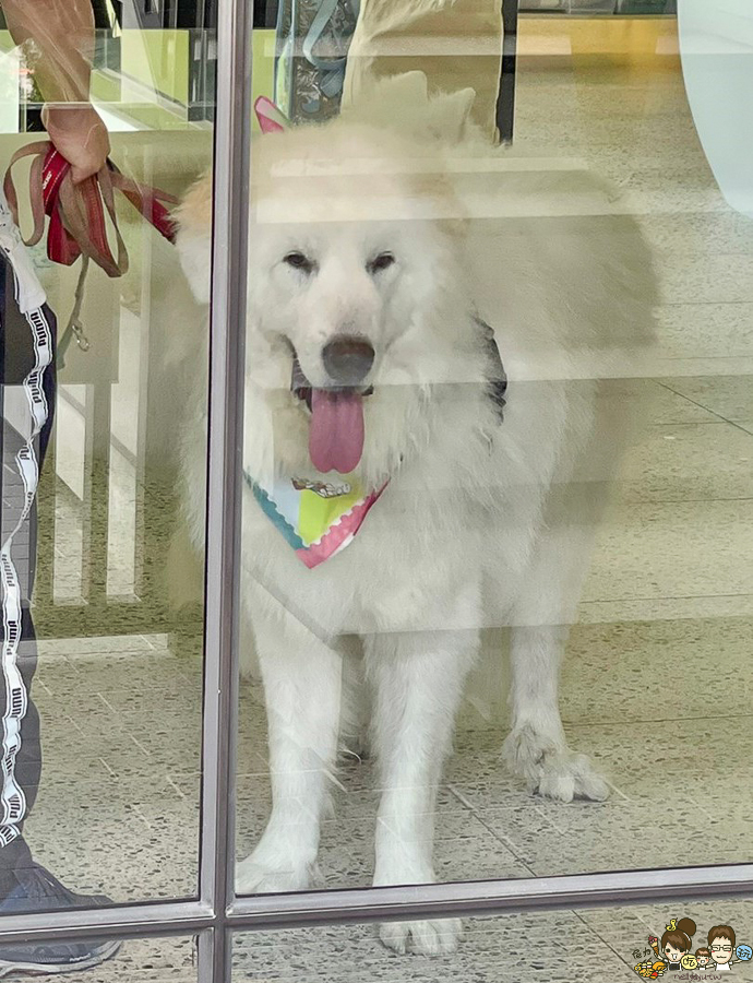 高雄寵物友善餐廳、高雄寵物友善、寵物友善餐廳、寵物友善景點、寵物友善店家、高雄素食、高雄素食餐廳、高雄蔬食、高雄蔬食餐廳、高雄蔬食地圖、高雄美食、高雄美食地圖、高雄美食推薦、楠梓美食、楠梓美食推薦、楠梓美食新地標、楠梓美食地圖、楠梓美食寵物友善