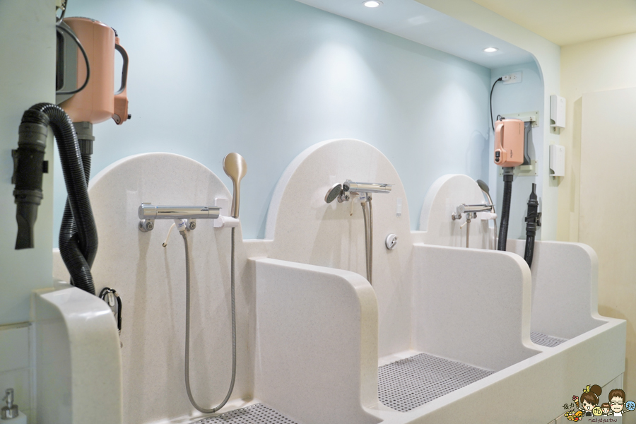 高雄寵物友善餐廳、高雄寵物友善、寵物友善餐廳、寵物友善景點、寵物友善店家、高雄素食、高雄素食餐廳、高雄蔬食、高雄蔬食餐廳、高雄蔬食地圖、高雄美食、高雄美食地圖、高雄美食推薦、楠梓美食、楠梓美食推薦、楠梓美食新地標、楠梓美食地圖、楠梓美食寵物友善